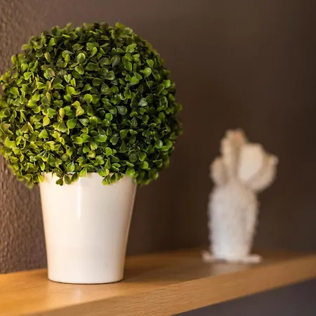 Appartement Sea View Town 2 Bedroom Albufeira